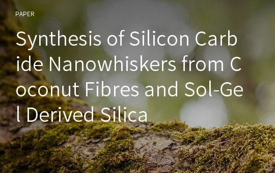 Synthesis of Silicon Carbide Nanowhiskers from Coconut Fibres and Sol-Gel Derived Silica