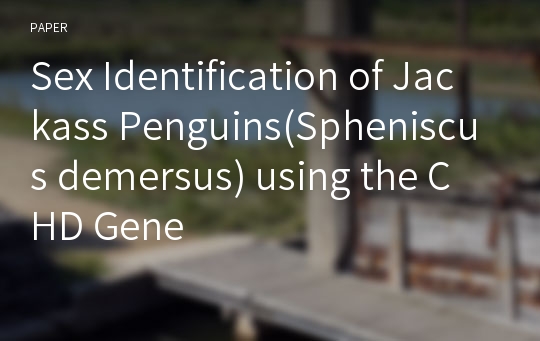 Sex Identification of Jackass Penguins(Spheniscus demersus) using the CHD Gene