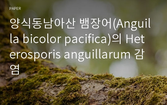 양식동남아산 뱀장어(Anguilla bicolor pacifica)의 Heterosporis anguillarum 감염