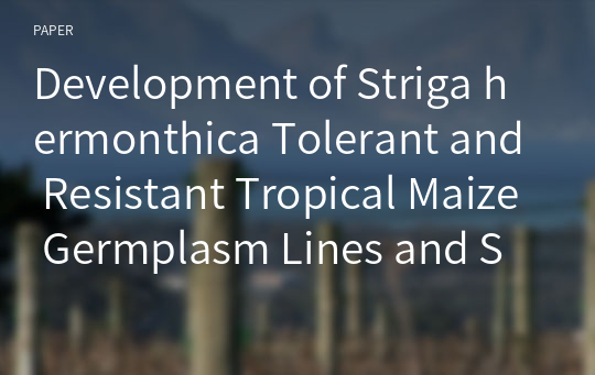 Development of Striga hermonthica Tolerant and Resistant Tropical Maize Germplasm Lines and Synthetics