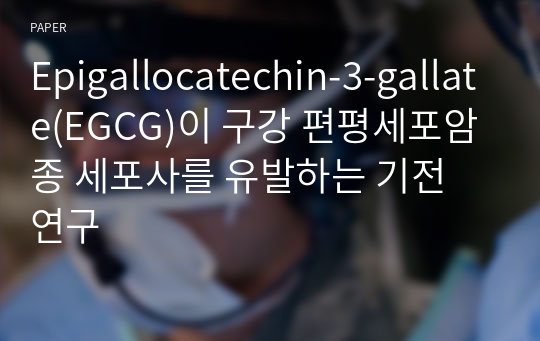 Epigallocatechin-3-gallate(EGCG)이 구강 편평세포암종 세포사를 유발하는 기전 연구