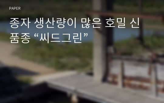 종자 생산량이 많은 호밀 신품종 “씨드그린”