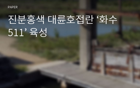 진분홍색 대륜호접란 ‘화수 511’ 육성