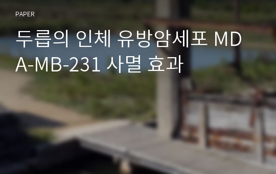 두릅의 인체 유방암세포 MDA-MB-231 사멸 효과