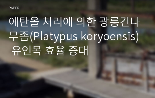 에탄올 처리에 의한 광릉긴나무좀(Platypus koryoensis) 유인목 효율 증대