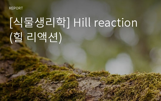 [식물생리학] Hill reaction (힐 리액션)
