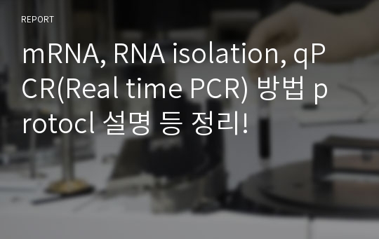 mRNA, RNA isolation, qPCR(Real time PCR) 방법 protocl 설명 등 정리!