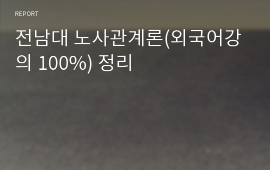 전남대 노사관계론(외국어강의 100%) 정리