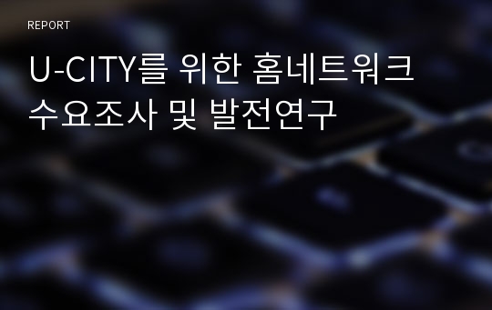 U-CITY를 위한 홈네트워크   수요조사 및 발전연구