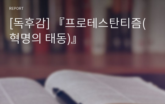 [독후감] 『프로테스탄티즘(혁명의 태동)』