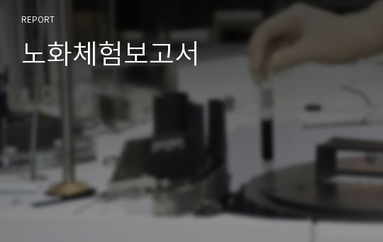 노화체험보고서