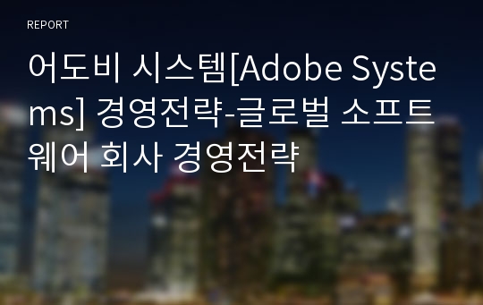 어도비 시스템[Adobe Systems] 경영전략-글로벌 소프트웨어 회사 경영전략