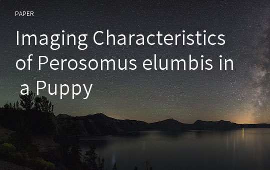 Imaging Characteristics of Perosomus elumbis in a Puppy