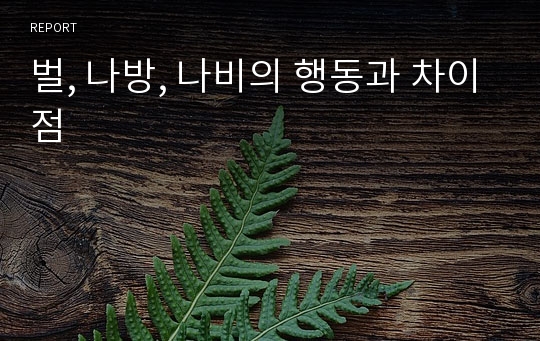 벌, 나방, 나비의 행동과 차이점