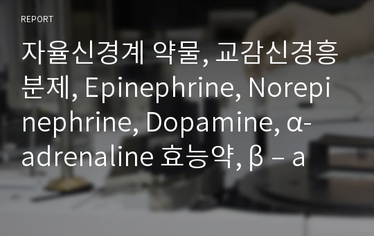 자율신경계 약물, 교감신경흥분제, Epinephrine, Norepinephrine, Dopamine, α-adrenaline 효능약, β – adrenaline 효능약, 교감신경 억제약, 부교감신경 흥분약, choline 효능약, 부교감신경 억제약