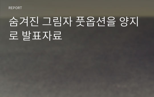 숨겨진 그림자 풋옵션을 양지로 발표자료