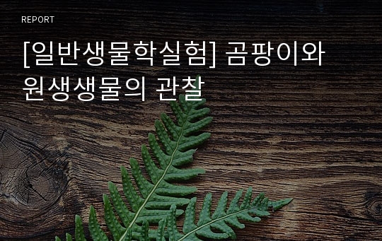 [일반생물학실험] 곰팡이와 원생생물의 관찰