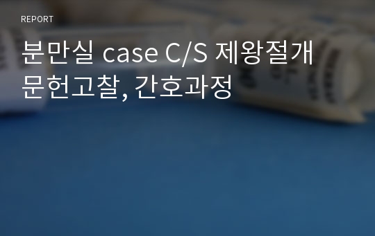 분만실 case C/S 제왕절개 문헌고찰, 간호과정