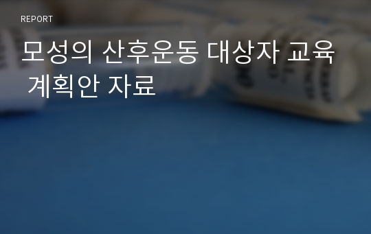 모성의 산후운동 대상자 교육 계획안 자료