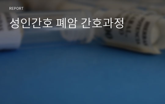 성인간호 폐암 간호과정