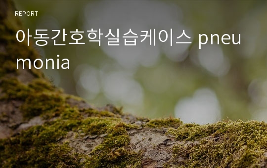 아동간호학실습케이스 pneumonia