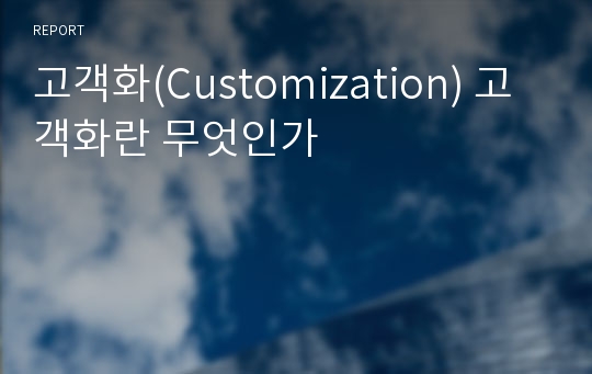 고객화(Customization) 고객화란 무엇인가