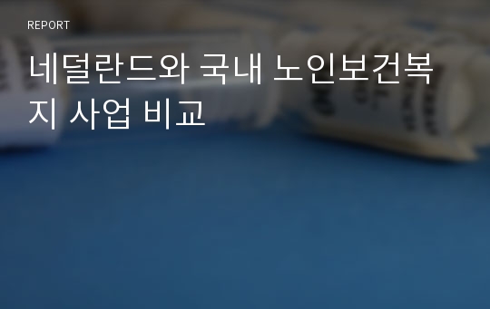 네덜란드와 국내 노인보건복지 사업 비교