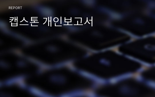 캡스톤 개인보고서