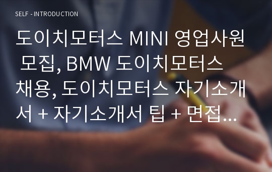 도이치모터스 MINI 영업사원 자기소개서