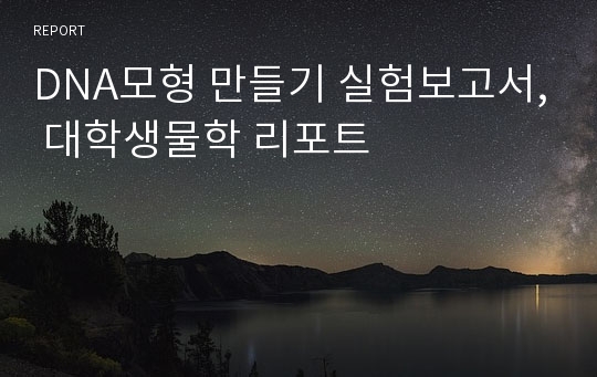 DNA모형 만들기 실험보고서, 대학생물학 리포트