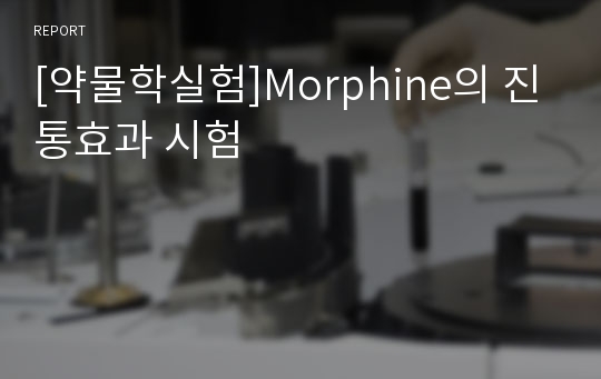 [약물학실험]Morphine의 진통효과 시험