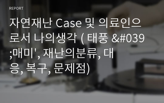 자연재난 Case 및 의료인으로서 나의생각 ( 태풍 &#039;매미&#039;, 재난의분류, 대응, 복구, 문제점)