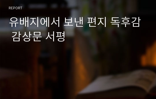 유배지에서 보낸 편지 독후감 감상문 서평