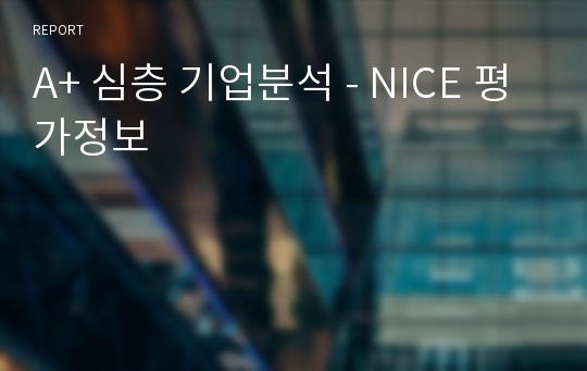 A+ 심층 기업분석 - NICE 평가정보