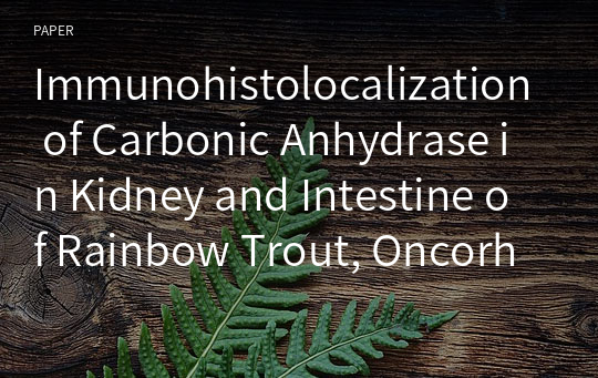 Immunohistolocalization of Carbonic Anhydrase in Kidney and Intestine of Rainbow Trout, Oncorhynchus mykiss