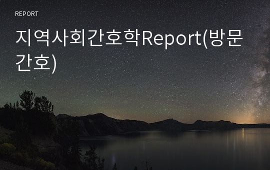 지역사회간호학Report(방문간호)