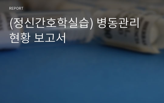 (정신간호학실습) 병동관리 현황 보고서