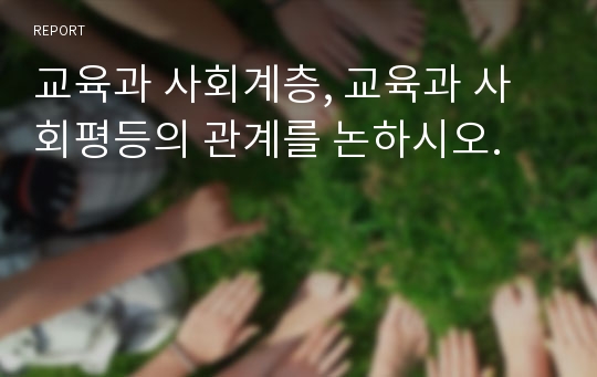 교육과 사회계층, 교육과 사회평등의 관계를 논하시오.