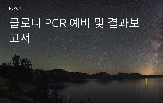 콜로니 PCR 예비 및 결과보고서