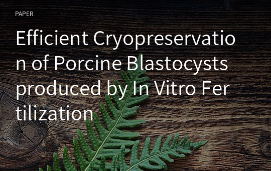 Efficient Cryopreservation of Porcine Blastocysts produced by In Vitro Fertilization