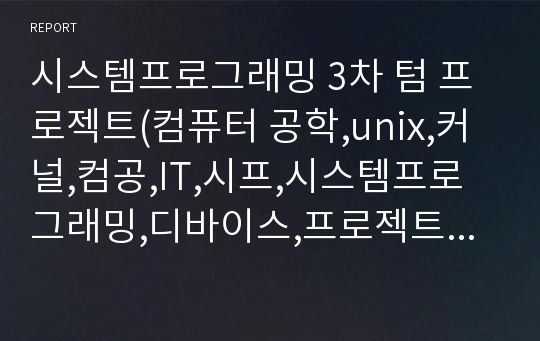 시스템프로그래밍 3차 텀 프로젝트(컴퓨터 공학,unix,커널,컴공,IT,시프,시스템프로그래밍,디바이스,프로젝트,텀)