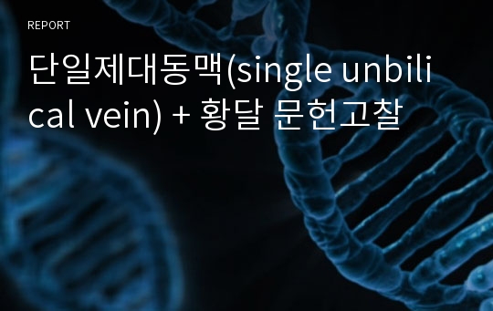 단일제대동맥(single unbilical vein) + 황달 문헌고찰