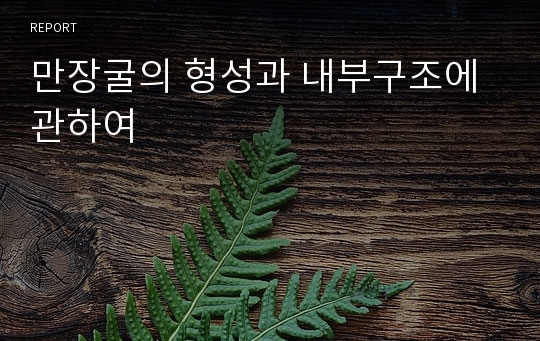 만장굴의 형성과 내부구조에 관하여