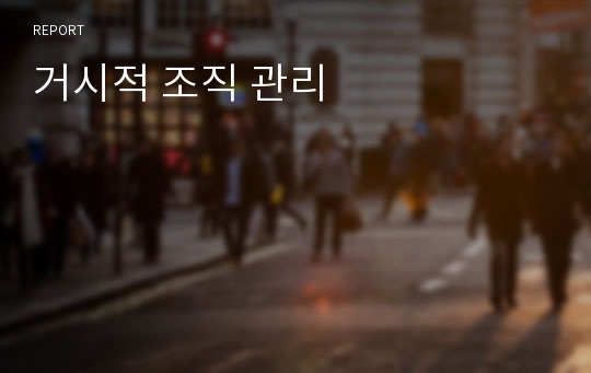 거시적 조직 관리