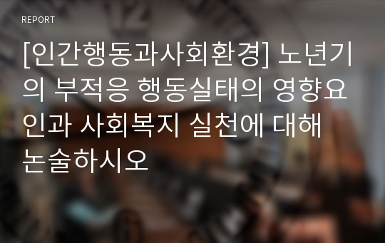 [인간행동과사회환경] 노년기의 부적응 행동실태의 영향요인과 사회복지 실천에 대해 논술하시오