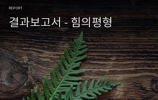 결과보고서 - 힘의평형