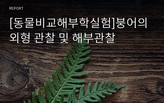 [동물비교해부학실험]붕어의 외형 관찰 및 해부관찰