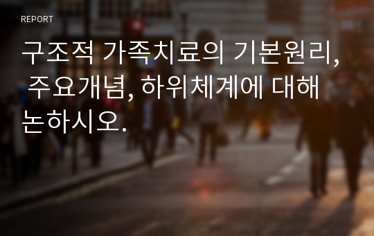 구조적 가족치료의 기본원리, 주요개념, 하위체계에 대해 논하시오.