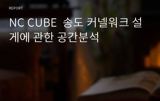 NC CUBE  송도 커넬워크 설게에 관한 공간분석