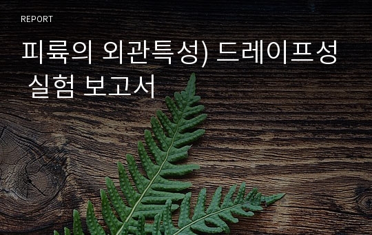 피륙의 외관특성) 드레이프성 실험 보고서